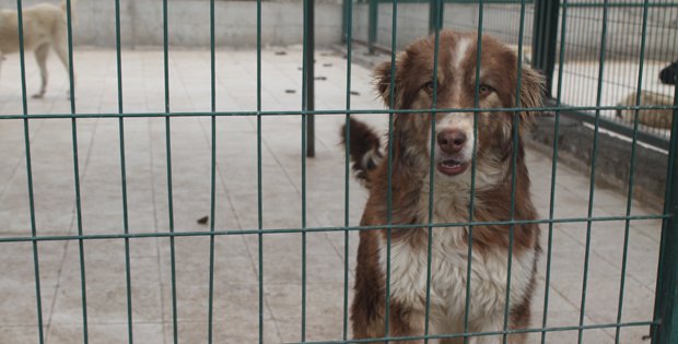 4 MİLYONA MODERN BARINAK