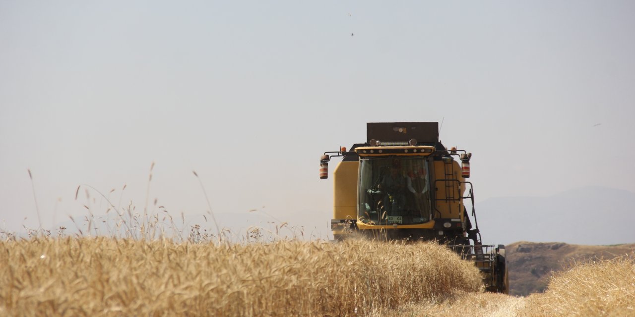 Sivas'ta verimli buğday için hasat zamanı