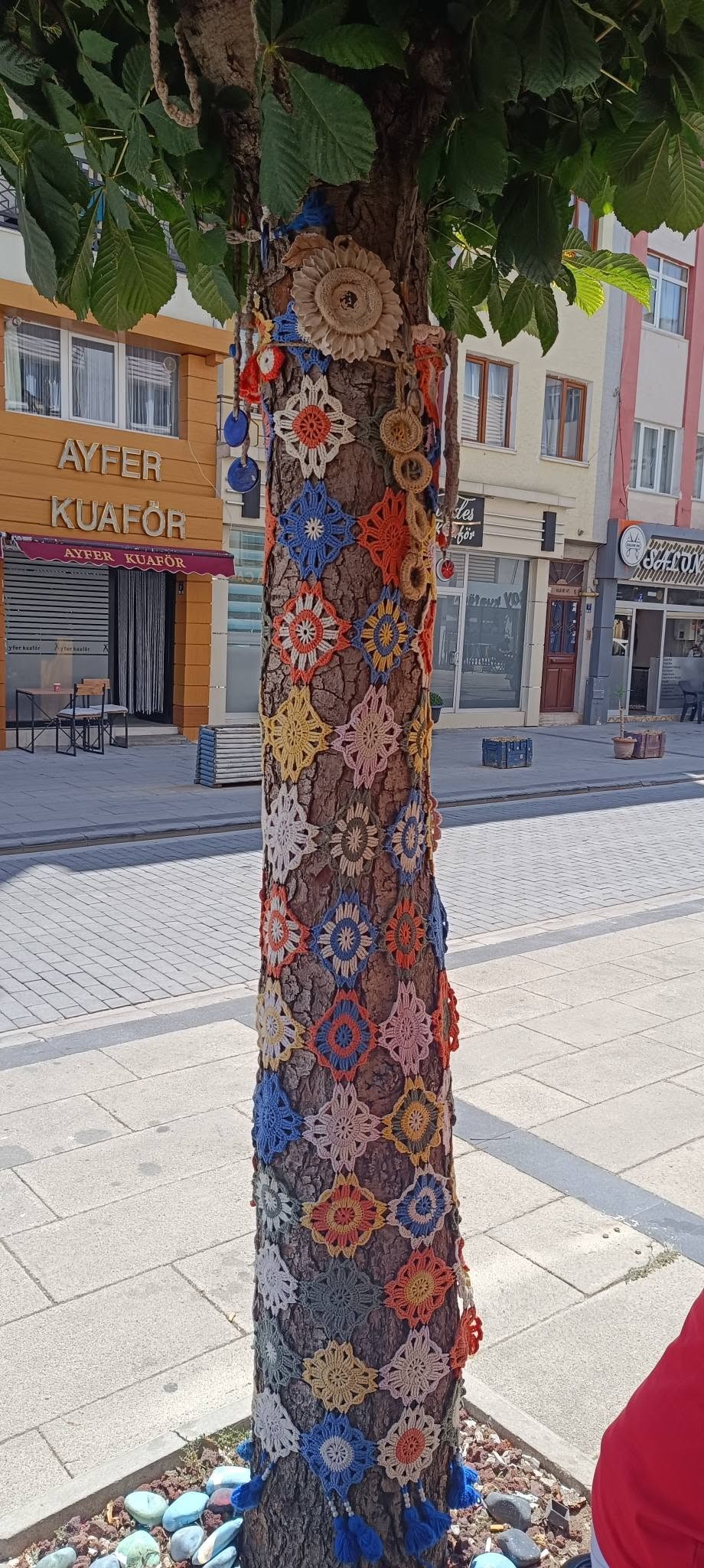 Sivas'ta gülümseten görüntü, ağaca kadın eli değdi