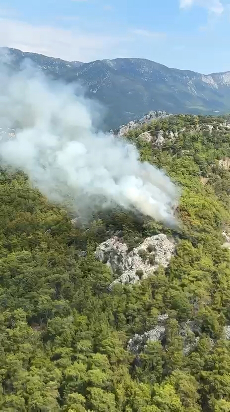 Kemer’de orman yangını!