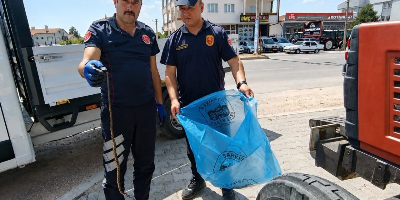 Sivas'ta işyerinde yılan paniği