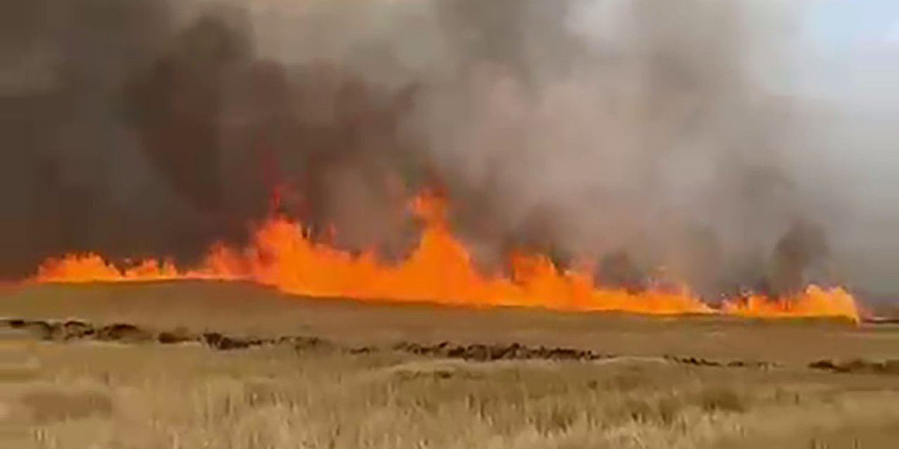 Sivas'ta yangın 5 bin dönüm arazi zarar gördü