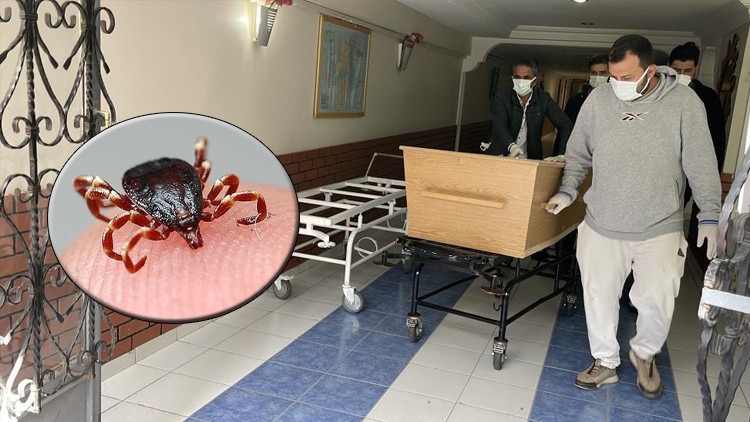Sivas'ta kene uyarısı:  Bilinçsiz müdahale etmeyin
