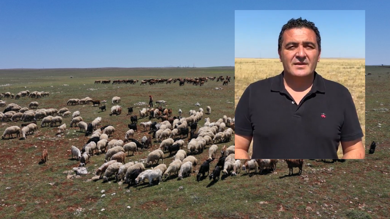 Karasu’dan sert çıkış: “Karaseki Düzü’nden ne istiyorsunuz?”