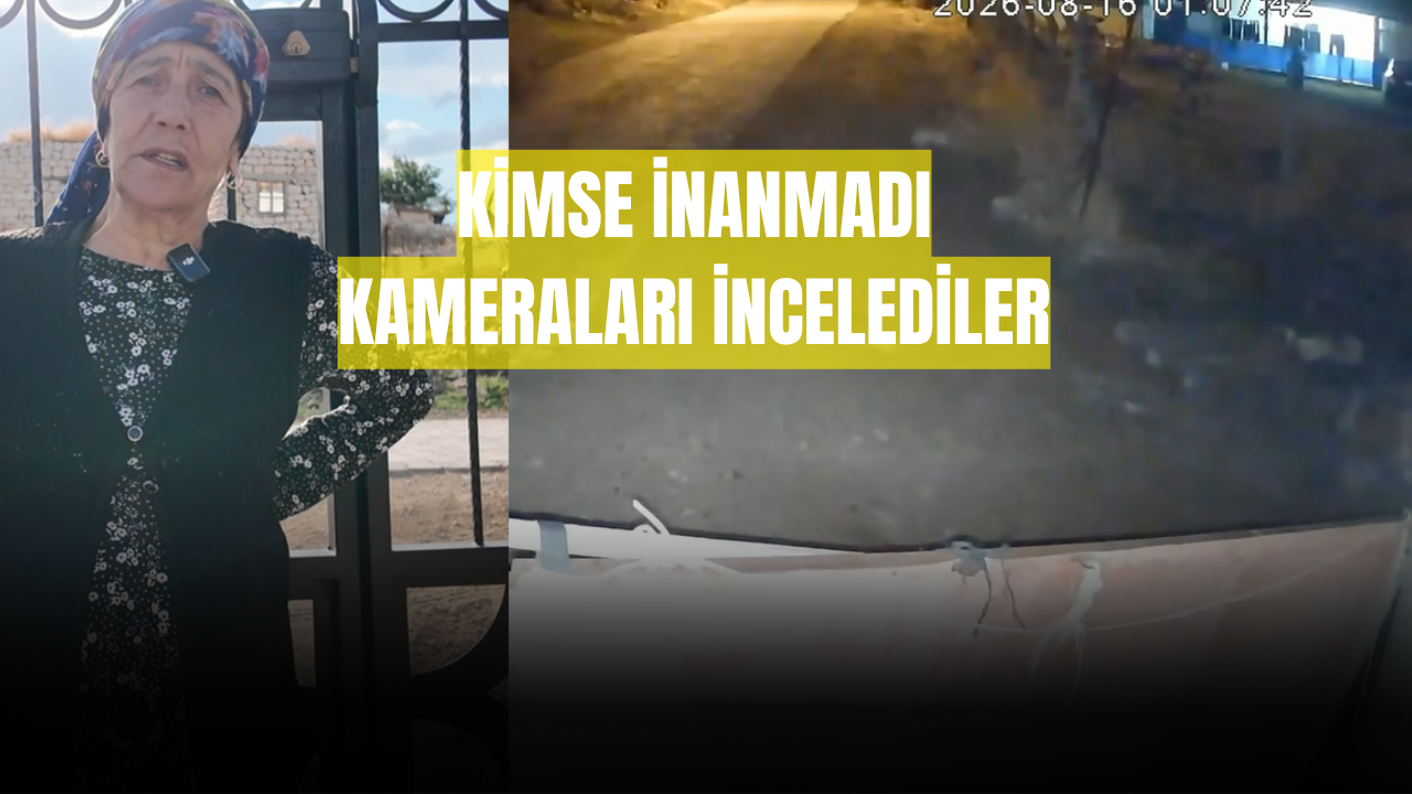 Sivas’ta gece dışarı çıktı, gördüğü karşısında şoke oldu