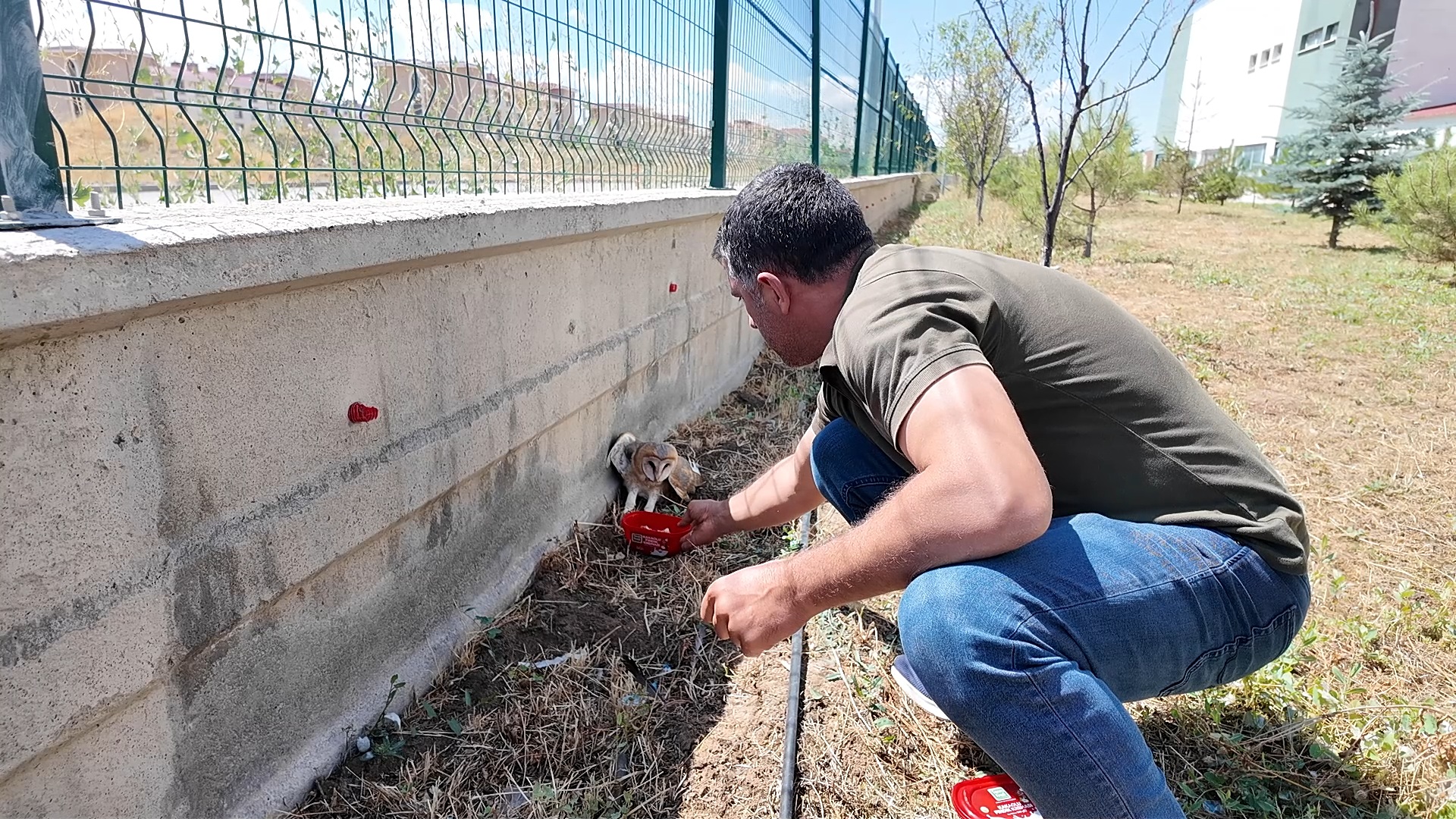 Sivas’ta okul bahçesinde bulundu, korumaya alındı