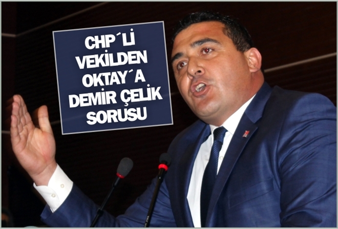CHP´Lİ VEKİLDEN OKTAY´A ?DEMİR ÇELİK´ SORUSU