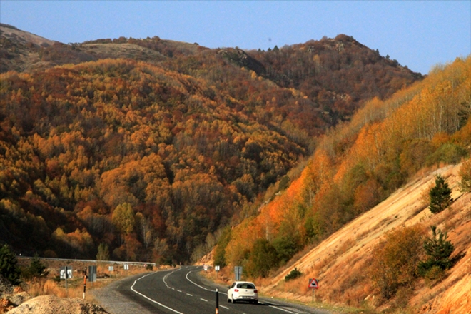 RENK CÜMBÜŞÜ İLGİ ÇEKTİ