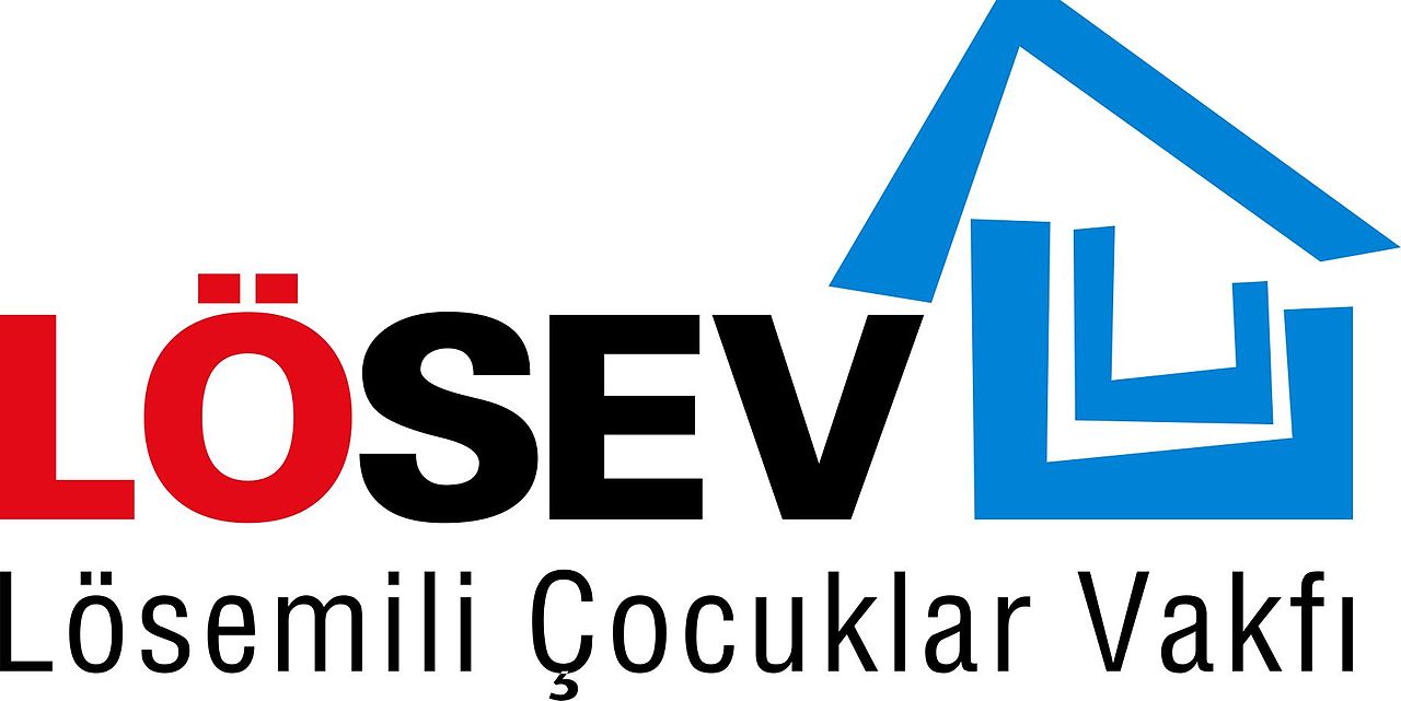 LÖSEV’in denetim raporu açıklandı: Faaliyetler amaçlarla uyumlu bulundu