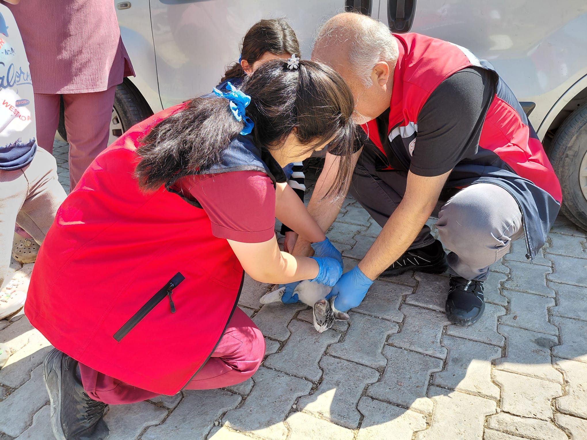 Sivas’ta hayvan sağlığı için sahada epidemiyolojik çalışma
