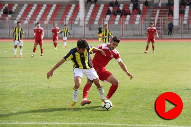 KANARYA YİĞİDO´YU AVLADI- VİDEO