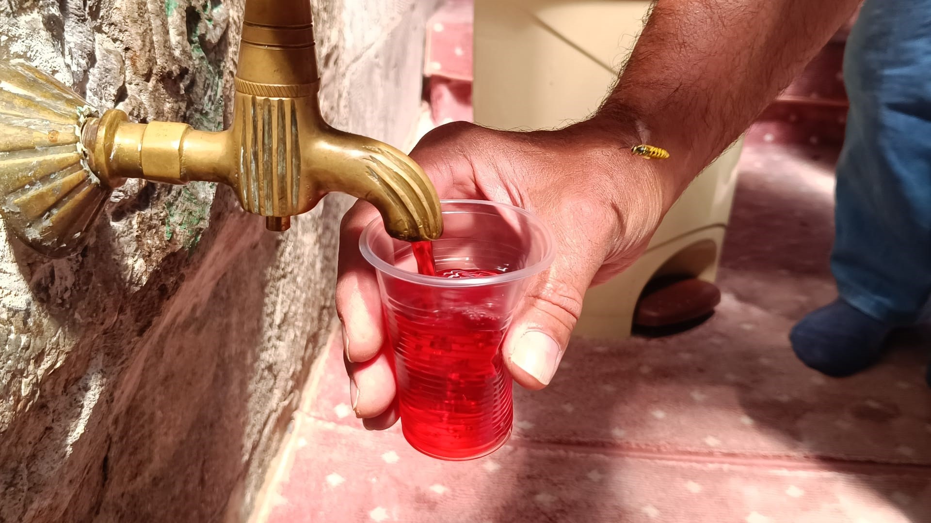 Selçuklu mirası Sivasi Hatun Camii’nde 262 yıllık ikram geleneği yaşatılıyor