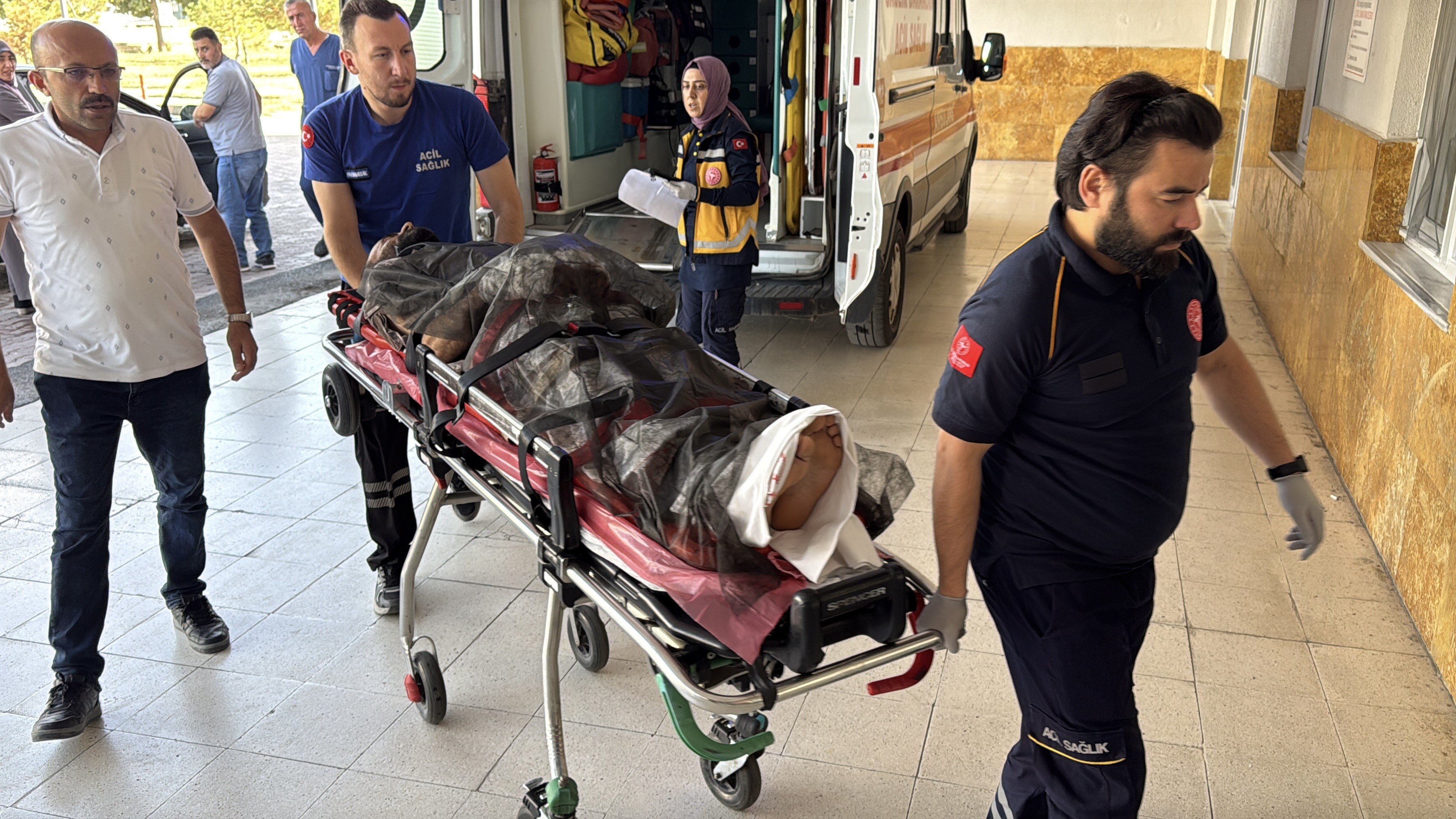 Sivas’ta ayı saldırısı, helikopterle hastaneye kaldırıldı