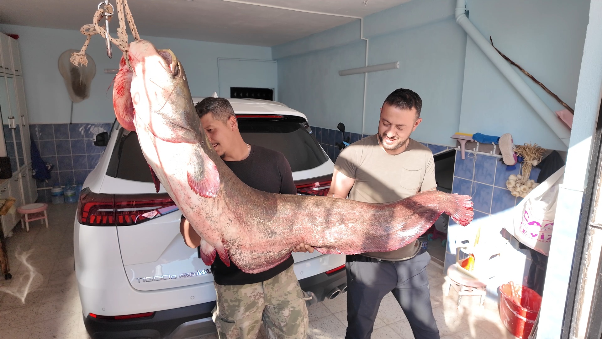 Sivas’ta oltaya 45 kiloluk yayın balığı takıldı