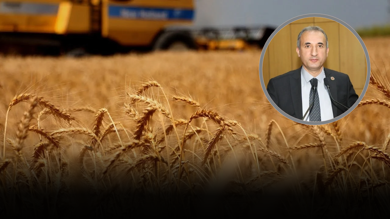 Pınarlı sordu: Çiftçinin buğdayı neden para etmiyor?