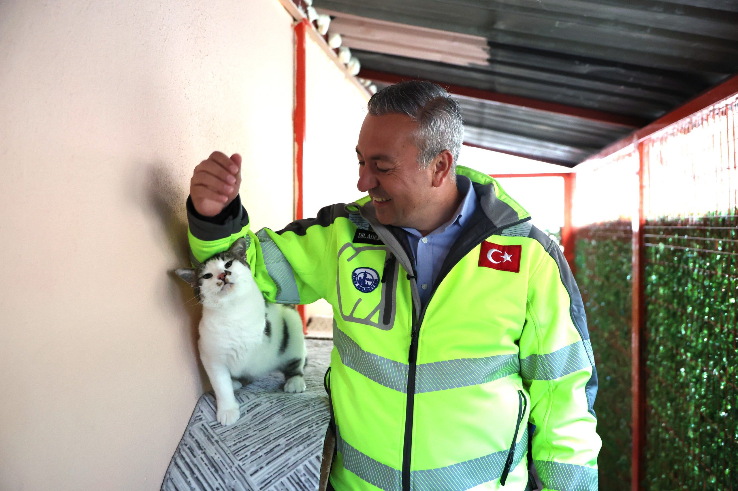 Sivas’ta sokak hayvanları için kapsamlı düzenleme