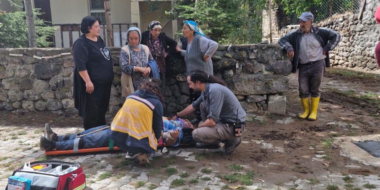 Sivas'ta ceviz ağacından düşen kişi yaralandı