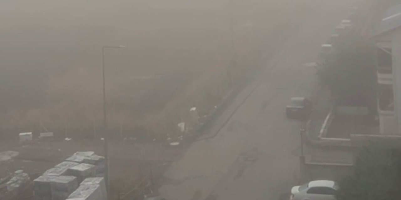 Sivas'ta yoğun sis etkili oldu