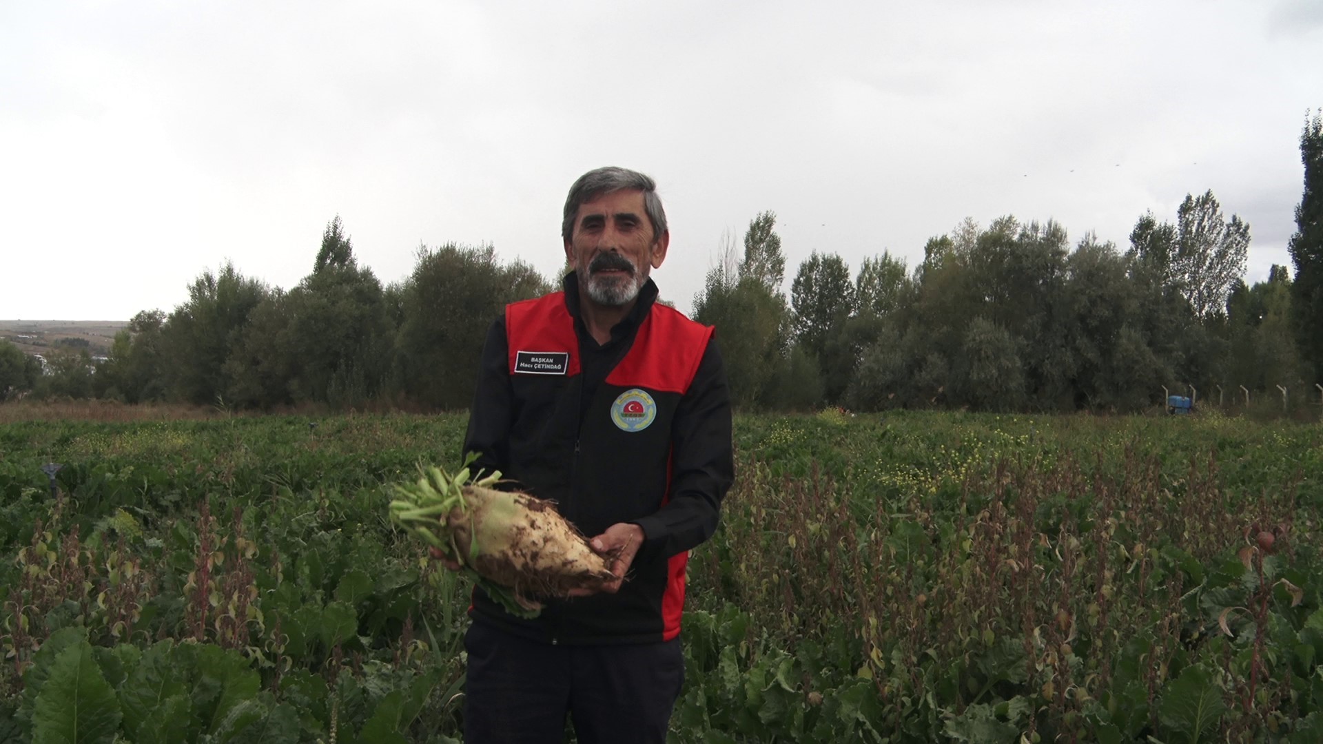 Sivas’ta pancarda hedef 800 bin ton