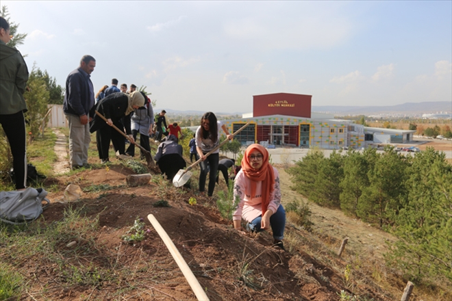 DOĞAYA KATKI SUNDULAR