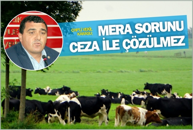 ?MERA SORUNU CEZA İLE ÇÖZÜLMEZ?