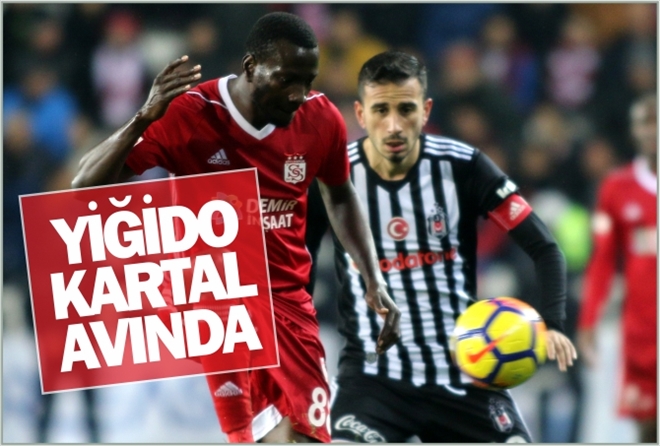 YİĞİDO KARTAL AVINDA
