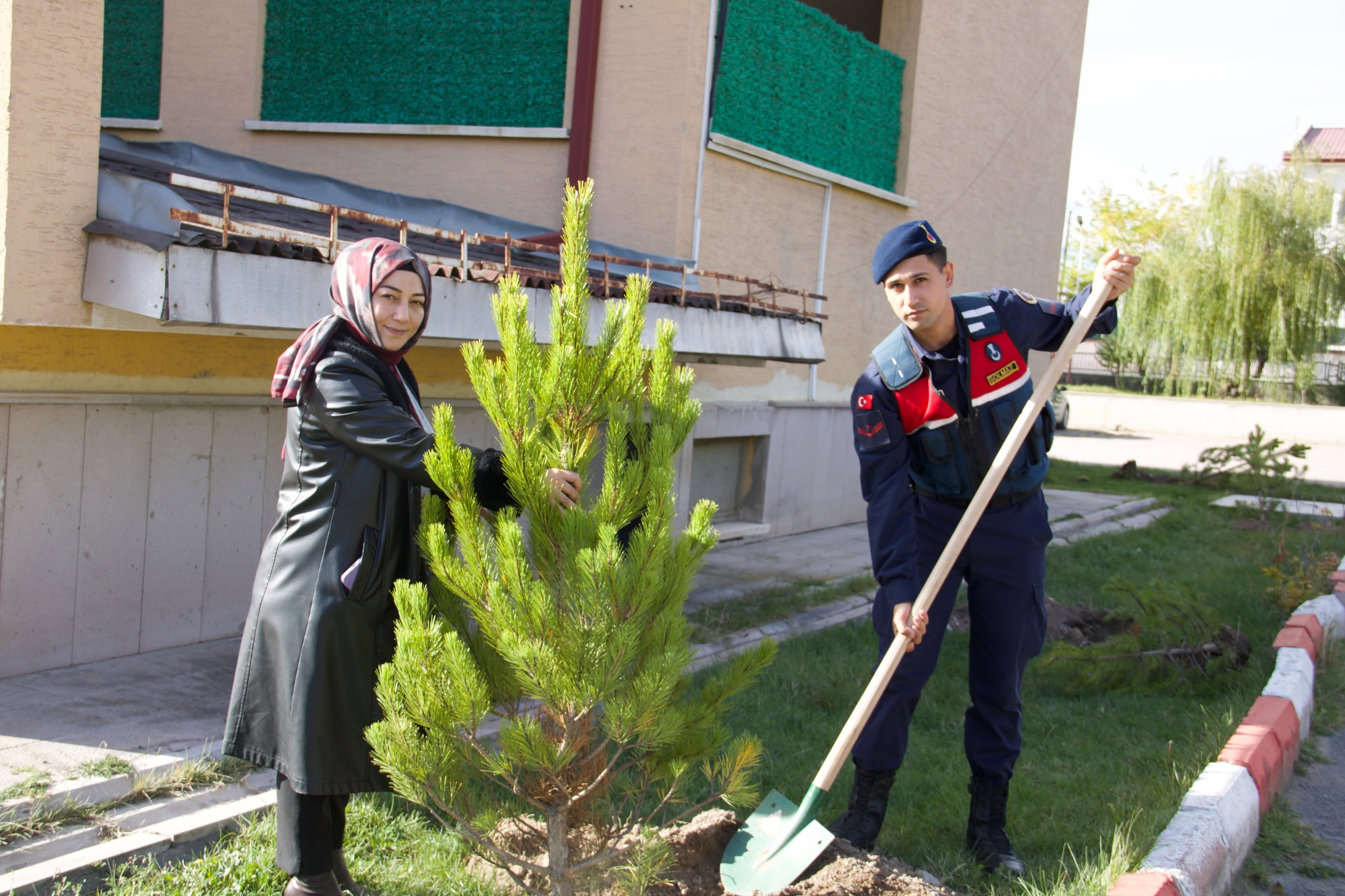 Altınyayla’da yeşil seferberlik başladı