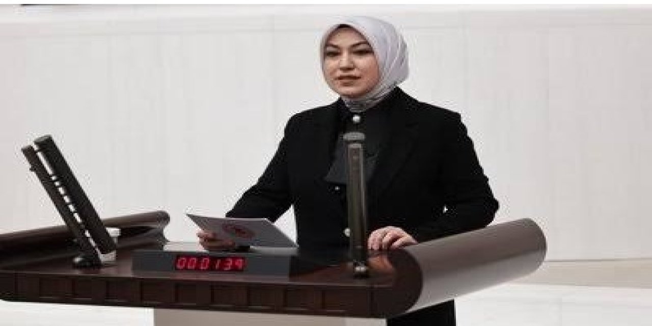 Rukiye Toy, TBMM’de muhtarların önemine dikkat çekti