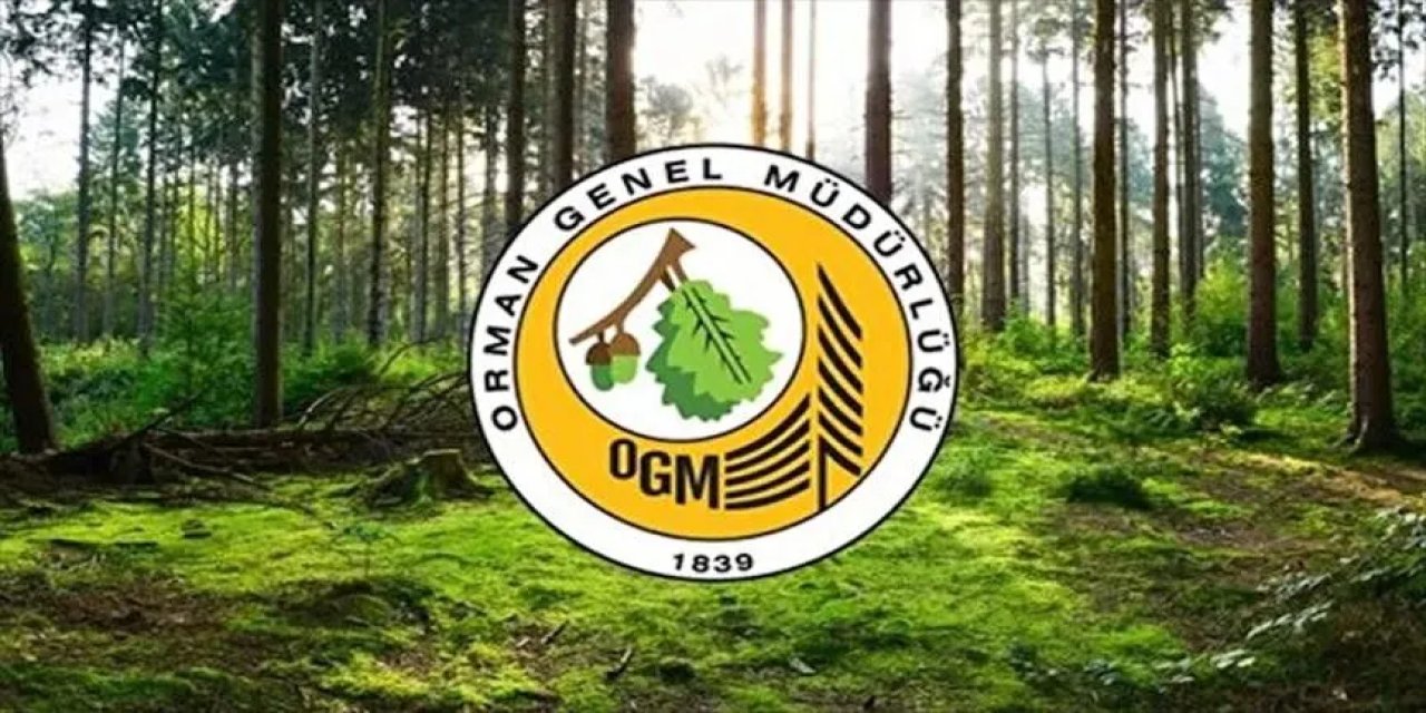 Orman Genel Müdürlüğü 12 müfettiş yardımcısı istihdam edecek