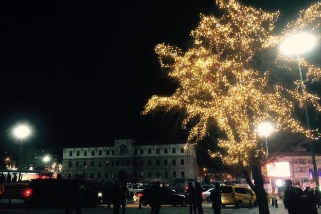 MEYDANDAKİ TEK AĞACA IŞIK