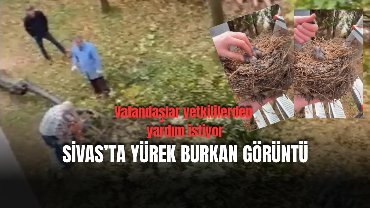 Sivas’ta yürek sızlatan görüntüler için yetkililere çağrı