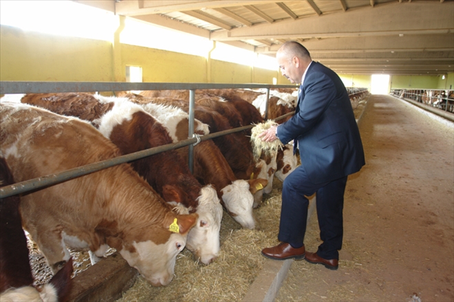 ?BU PROJE ÇOK KATKI SUNACAK?