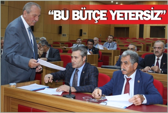 ?BU BÜTÇE YETERSİZ?