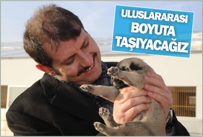 ?ULUSLARARASI BOYUTA TAŞIYACAĞIZ?