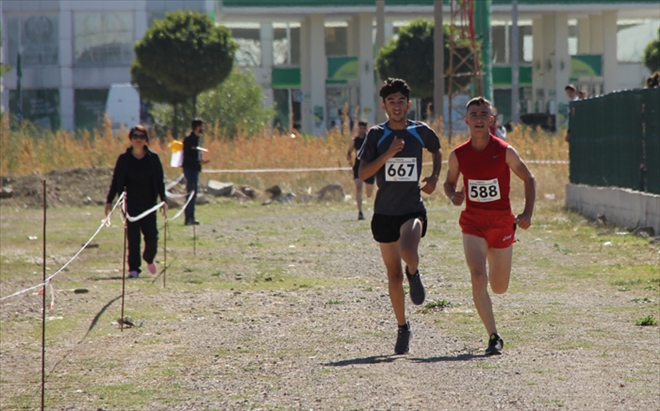 YILDIZLAR VE GENÇLER YARIŞACAK