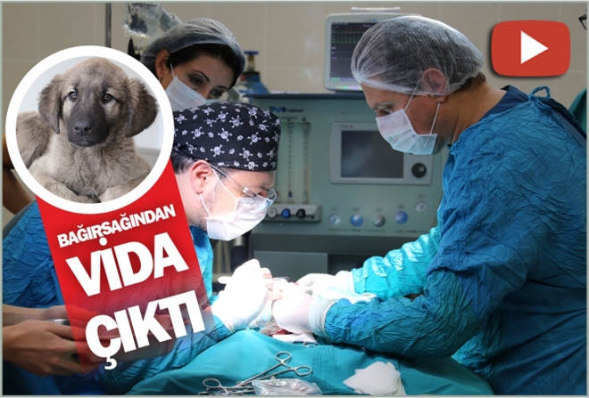 BAĞIRSAĞINDAN VİDA ÇIKTI