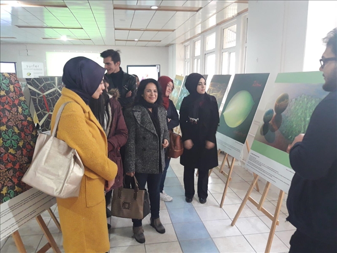 MYO´LULAR IMAGINARY´İ İNCELEDİ