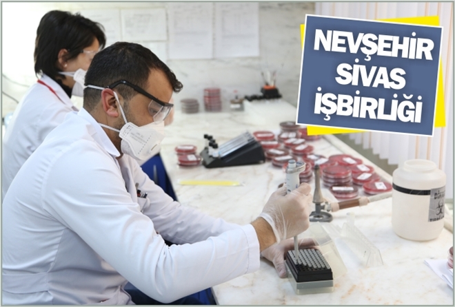 NEVŞEHİR-SİVAS İŞBİRLİĞİ - video