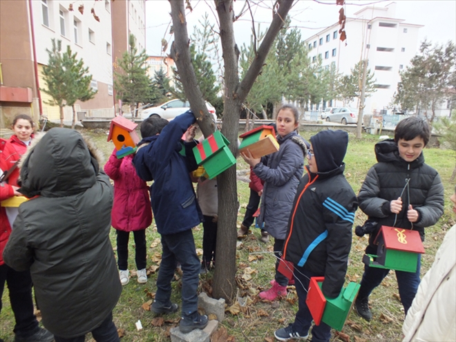 KUŞLAR ZORDA KALMASIN DİYE
