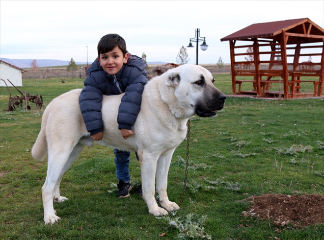 DİŞİSİNE ZARİF, ERKEĞİNE HEYBETLİ İSİMLER