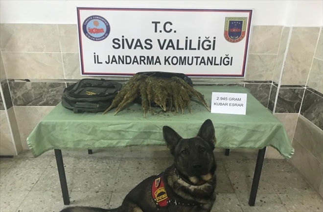 YOLCU OTOBÜSÜNDE ESRAR ELE GEÇİRİLDİ