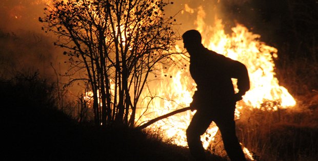 200 DÖNÜMLÜK ALAN KÜL OLDU