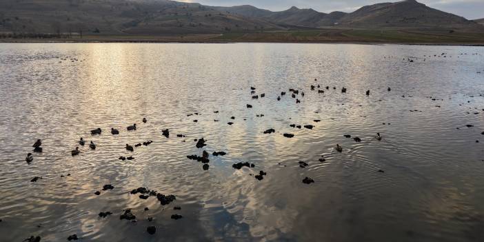 Sivas’ta Bingöl Gölü Yeniden Hayat Buldu