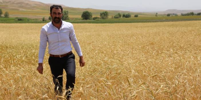 Kangal Ziraat Odası'ndan TMO'ya çağrı: Çiftçimiz mağdur edilmesin