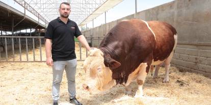 1,5 Tonluk Poyraz Alıcısını Bekliyor