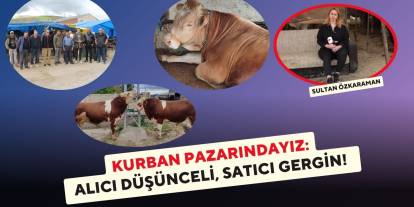 Kurban Pazarındayız: Alıcı Düşünceli, Satıcı Gergin!