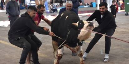 Sivas’ta kurban kesim yerleri belirlendi
