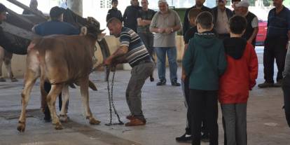 Sivas'ta Kurban Kesim Noktalarında Hareketlilik