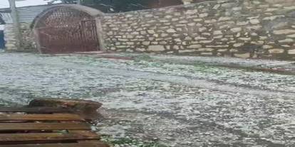 Fındık Gibi Yağdı, Tarımı Vurdu