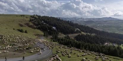 Yabancı çoban dönemi başlıyor
